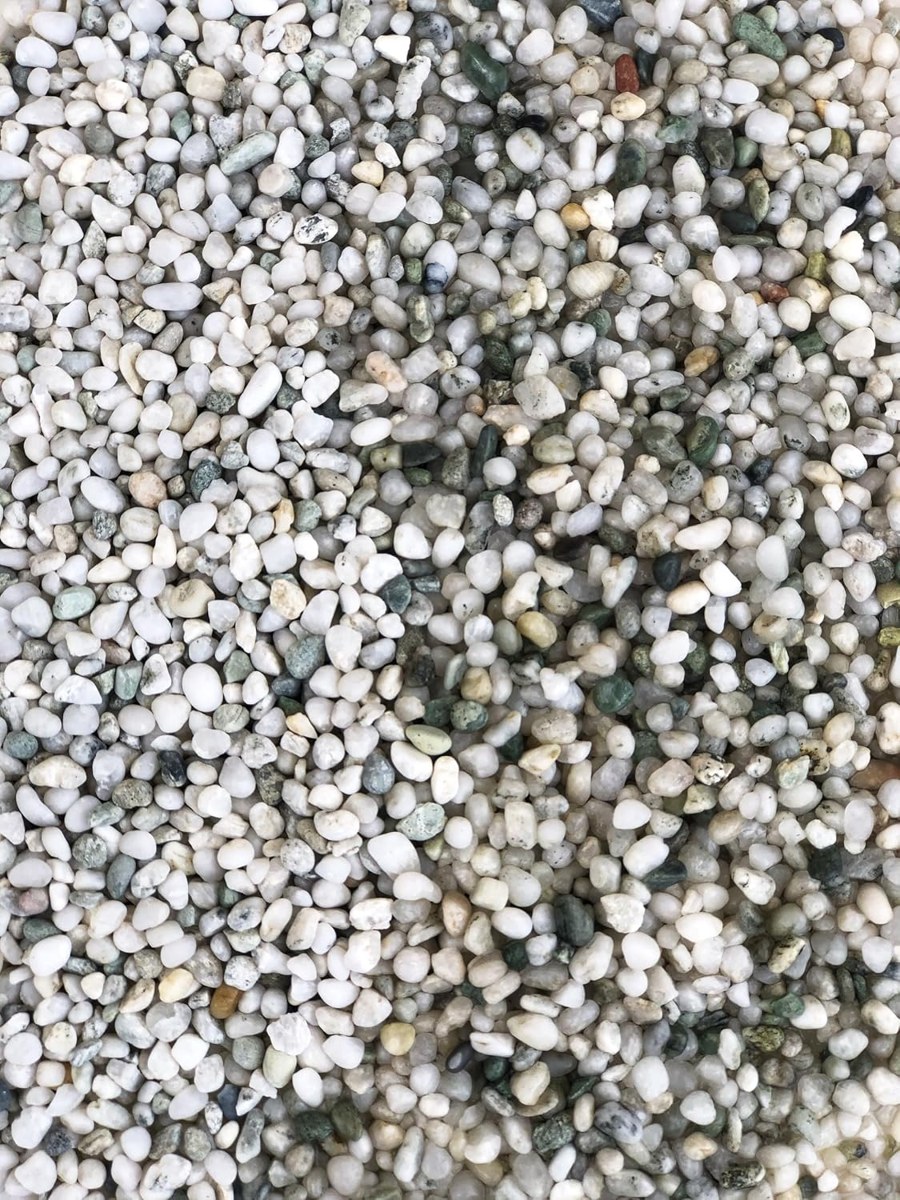 Iwagumi Pebble photo 2