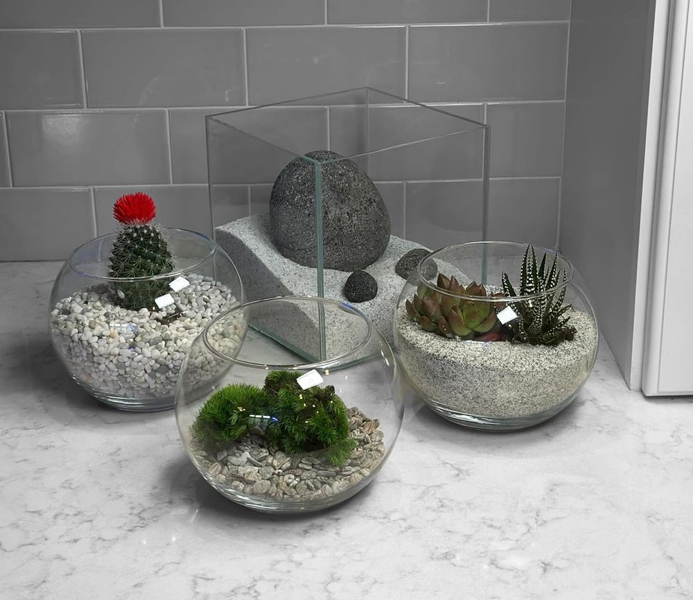 Media, Food & Betta Kit