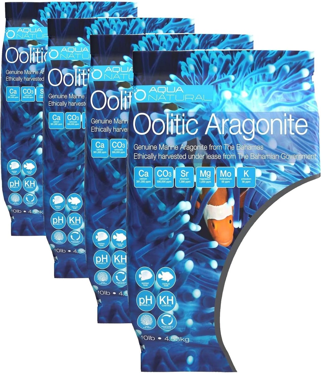 Oolitic Aragonite photo 5
